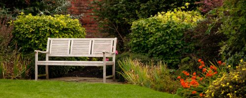 shot-white-bench-park